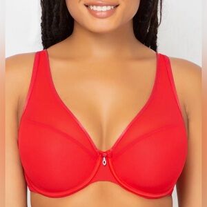Curvy Couture Sheer Mesh Push Up Bra